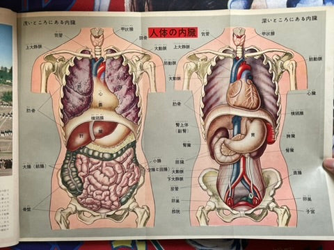 The Science Graph Vol. 7: Human Body Edition (1962)
