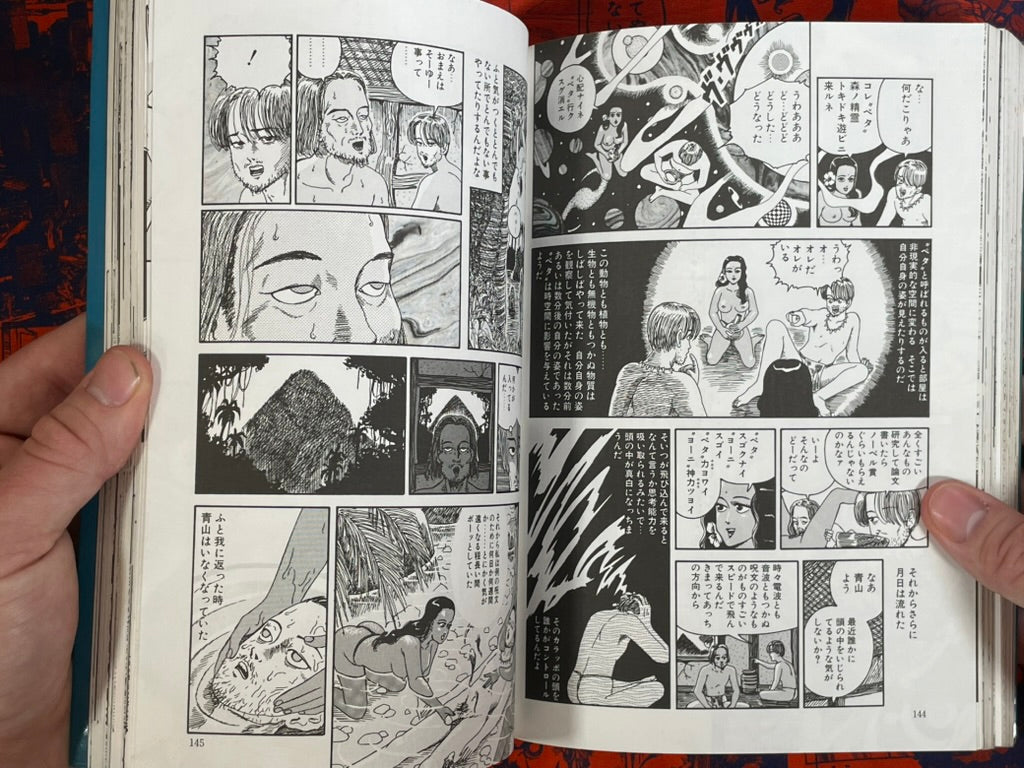 Pangaea by Hajime Yamano (1993)