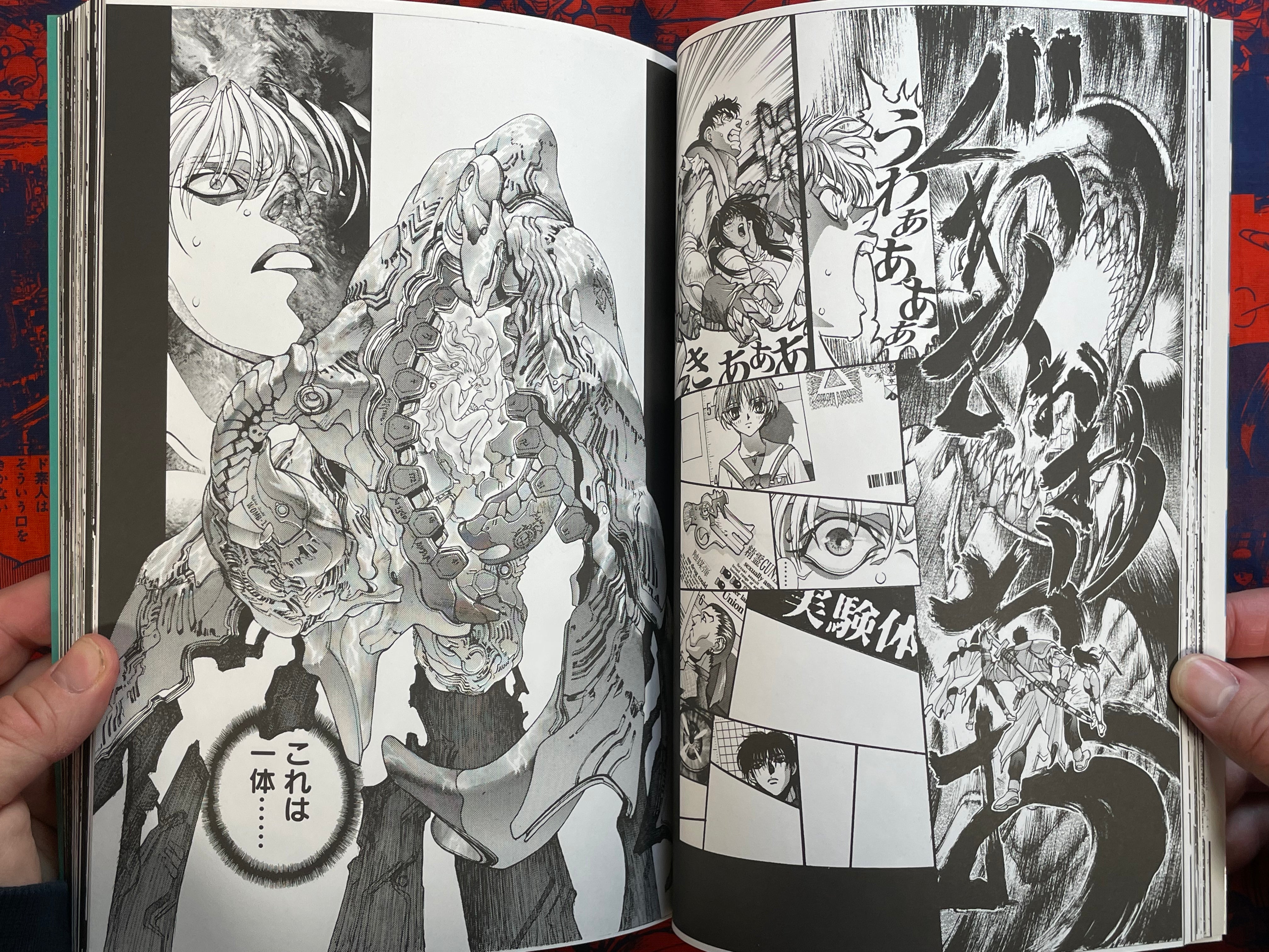 Bastard!! Unused Revised Edition by Hagiwara Kazushi (2000)