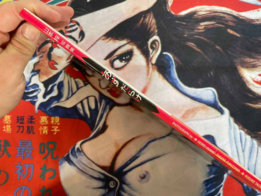 Azu Darake: Azusa Yamamoto Photo Collection (2008)