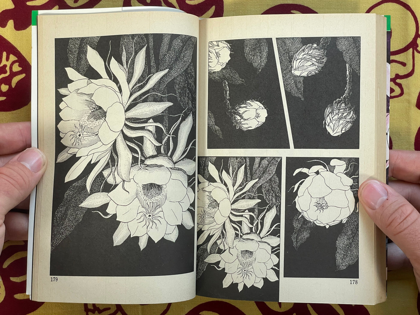 Bloody Stained Beauty Under the Moon by Nakano Yumi (1988)
