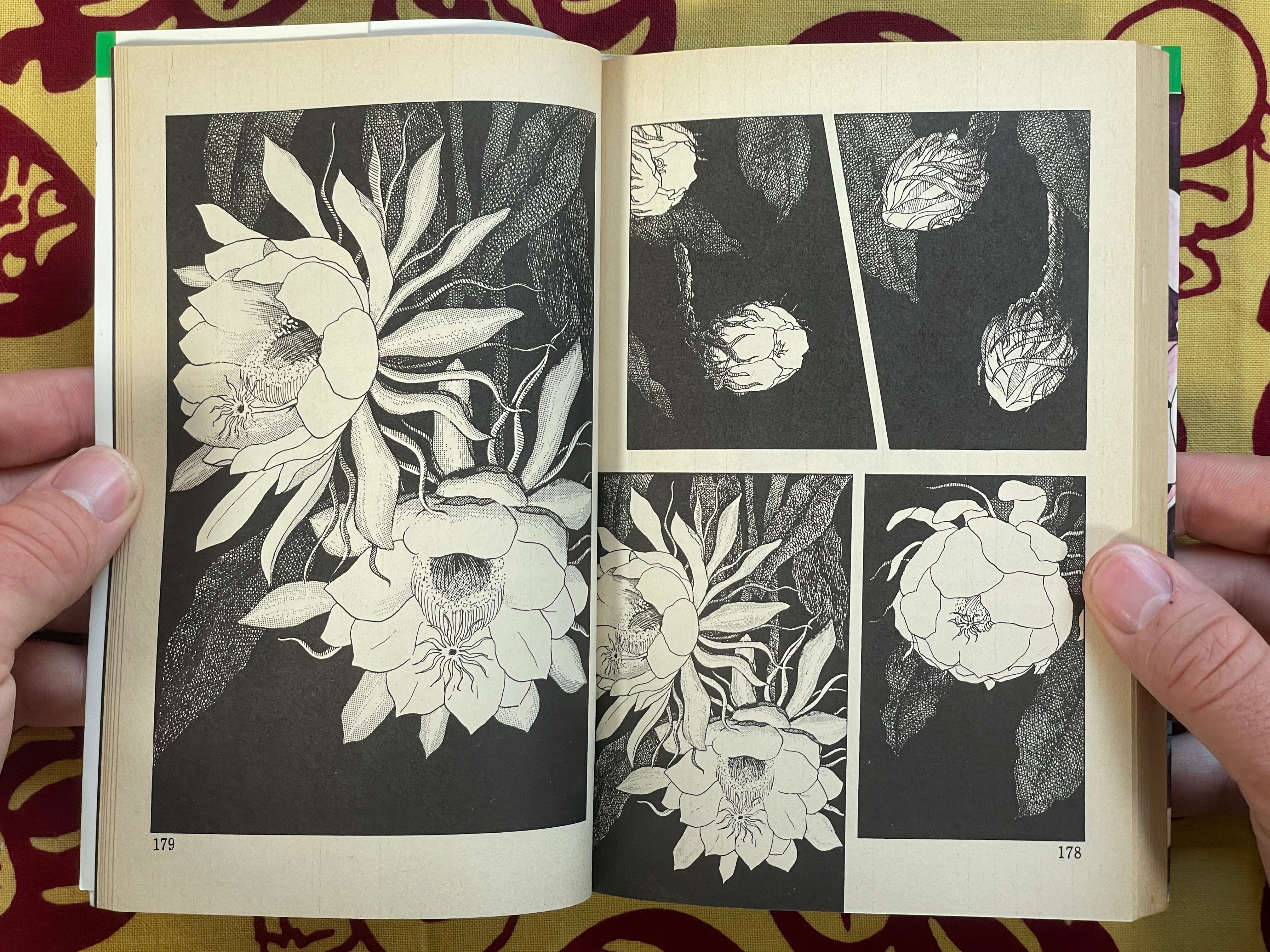 Bloody Stained Beauty Under the Moon by Nakano Yumi (1988)