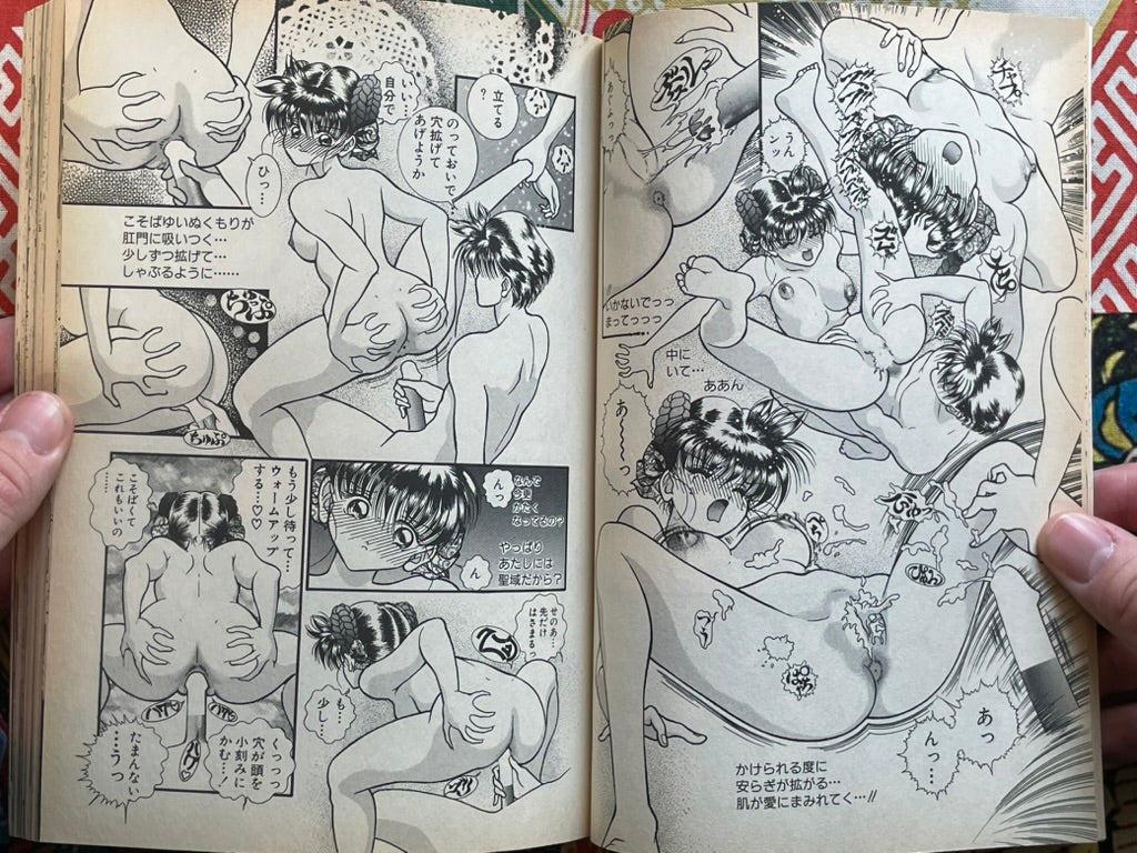 Flamingo Magazine (2/1995)