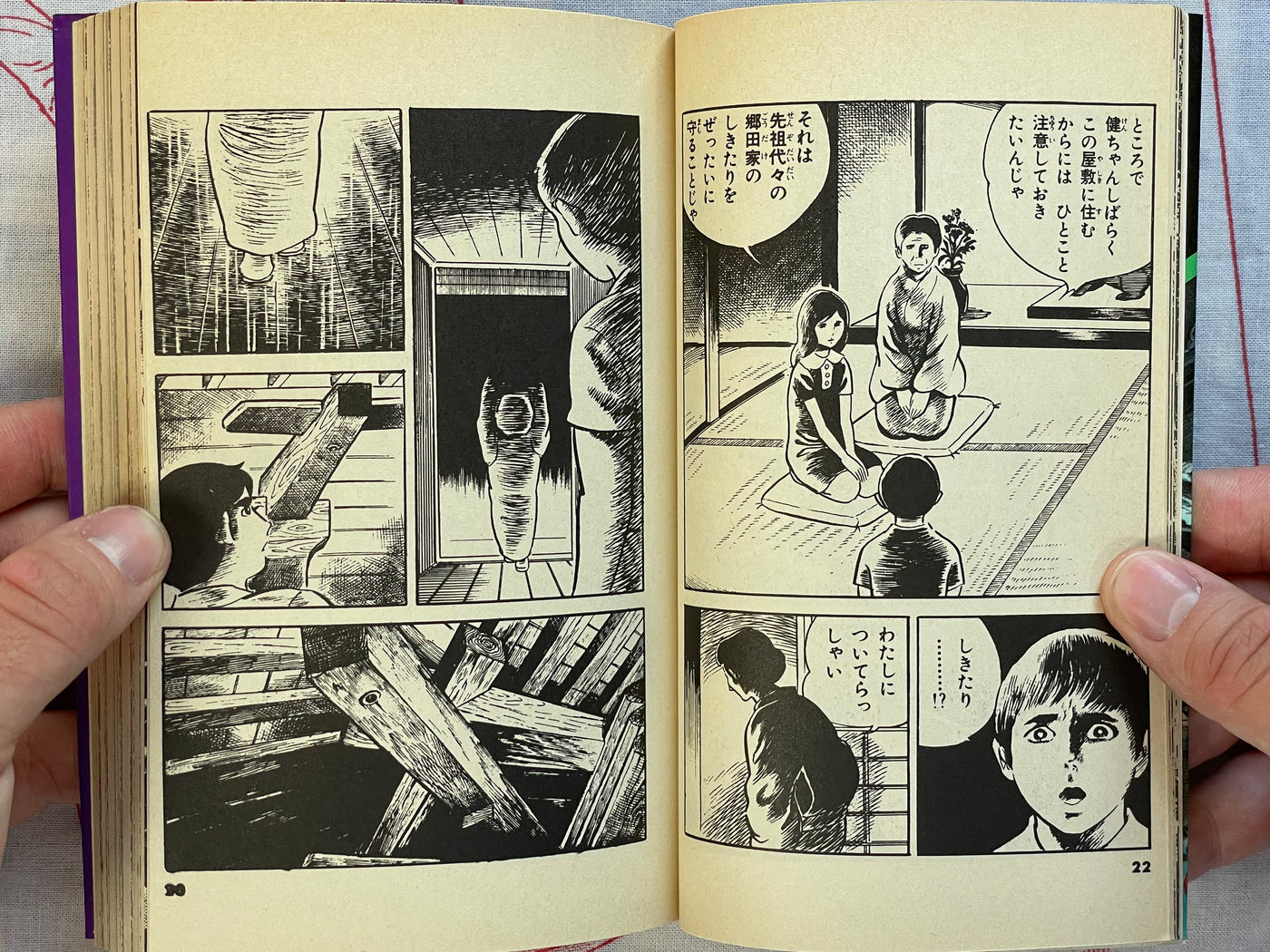 Evil Spirit Fox Mansion by Koga Shinichi (1976)