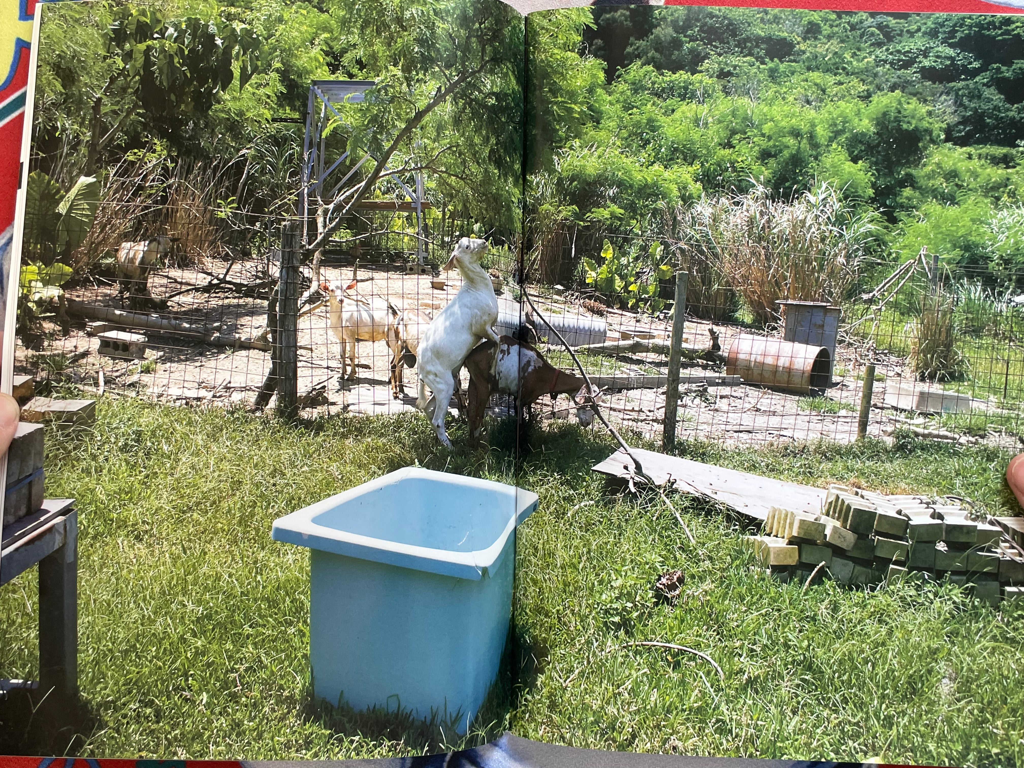 Maomi Yuuki Shincho Mook Photo Collection (2008)