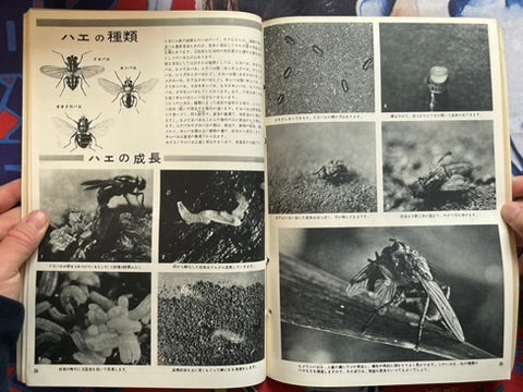 The Science Graph Vol. 6: Insect Special Edition (1962)
