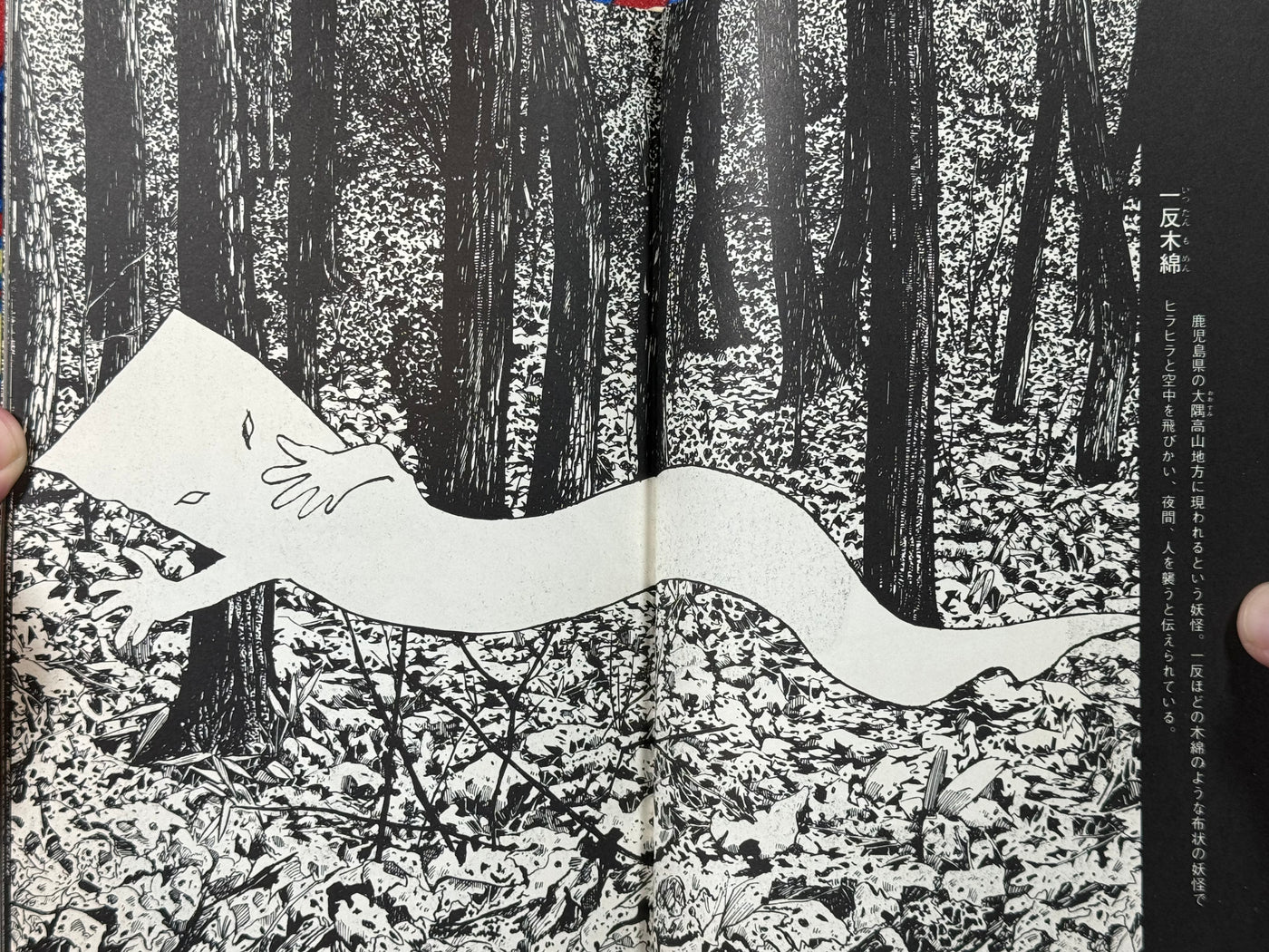 Mizuki Shigeru Yokai Art Collection w/ Slipcover (1970)