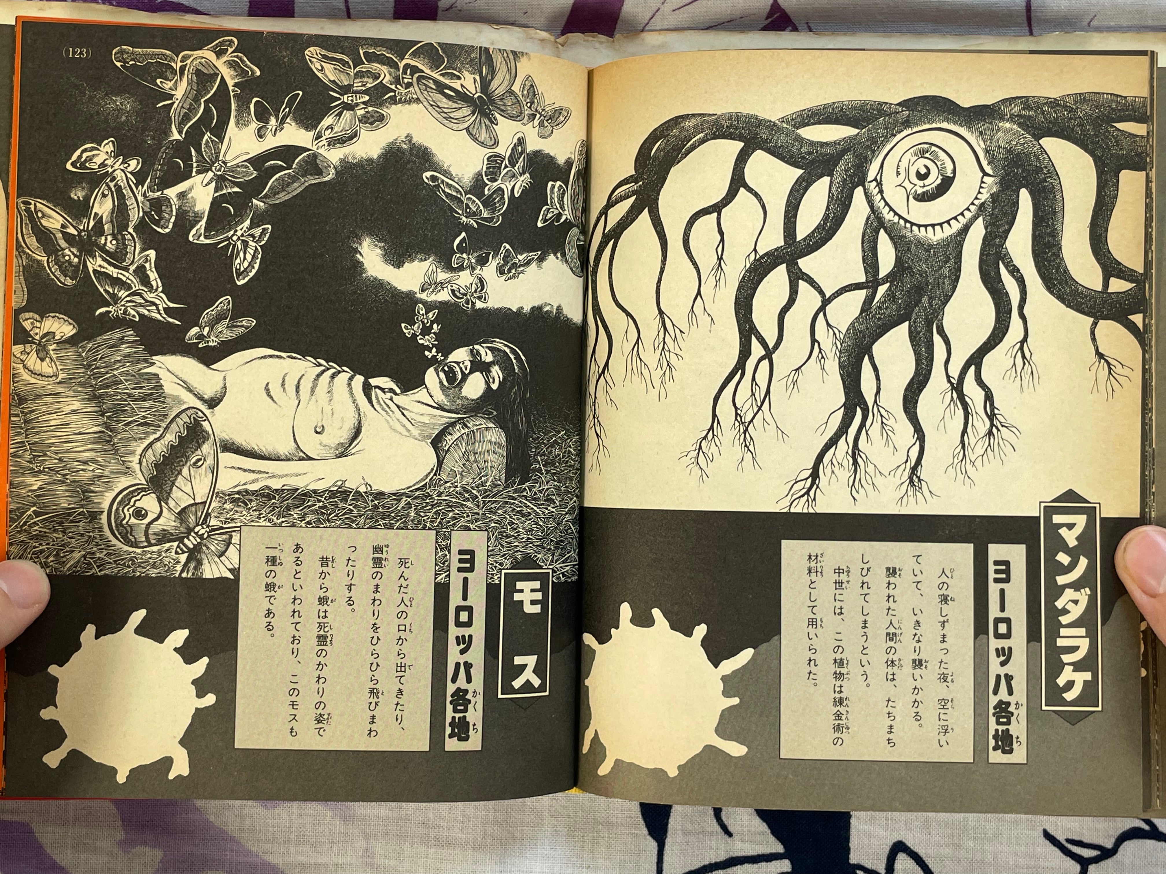 Introduction to Yokai of the World #76 by Shogakukan ft. Mizuki Shigeru (1979)