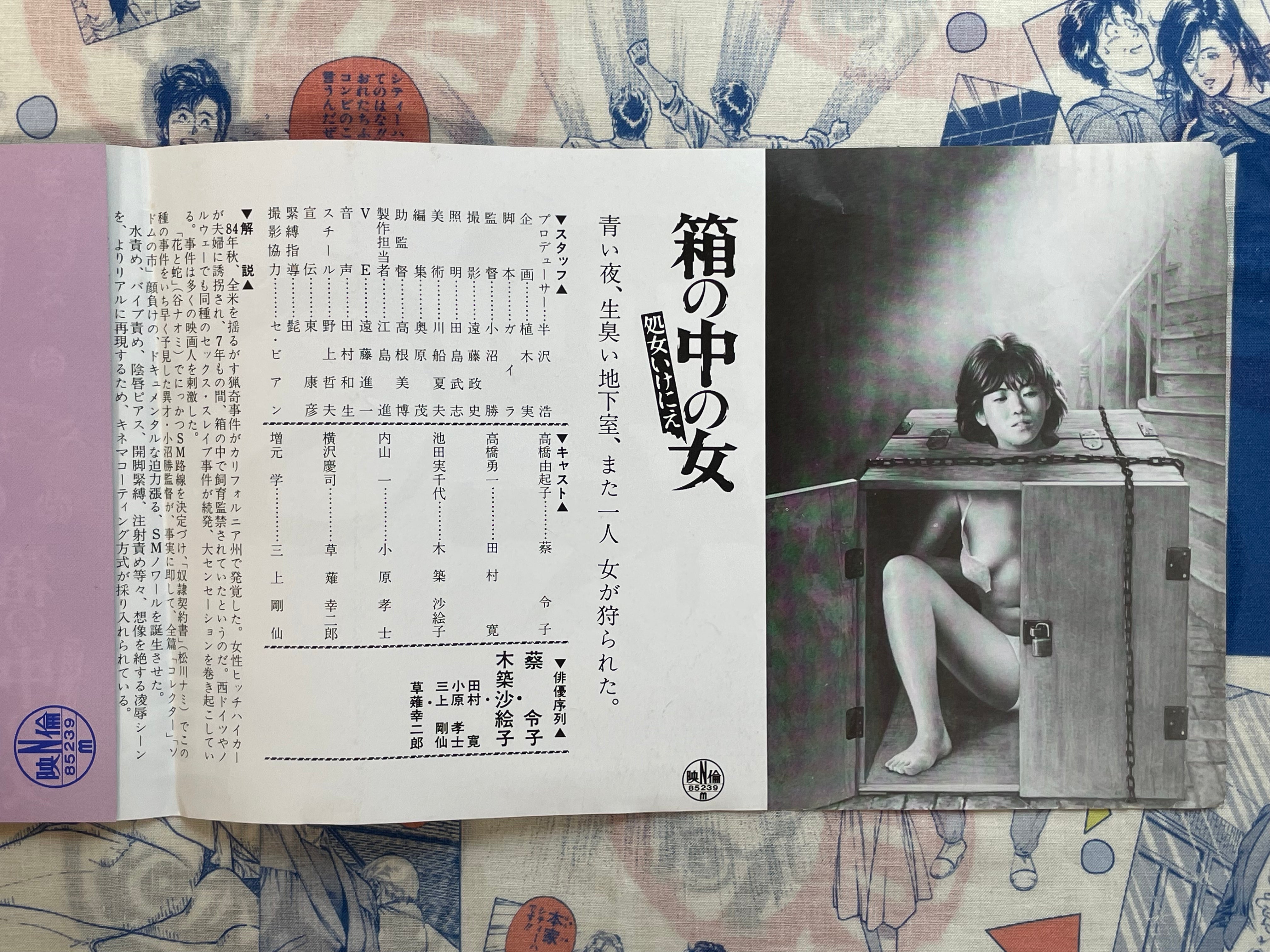 Movie Promo Poster: Girl in a Box (1985)