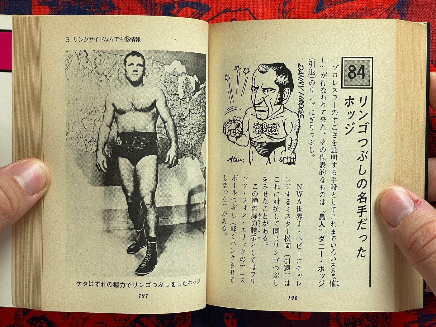 Pro Wrestling Everything Professor - bunko sized by Morioka Riu (1982)