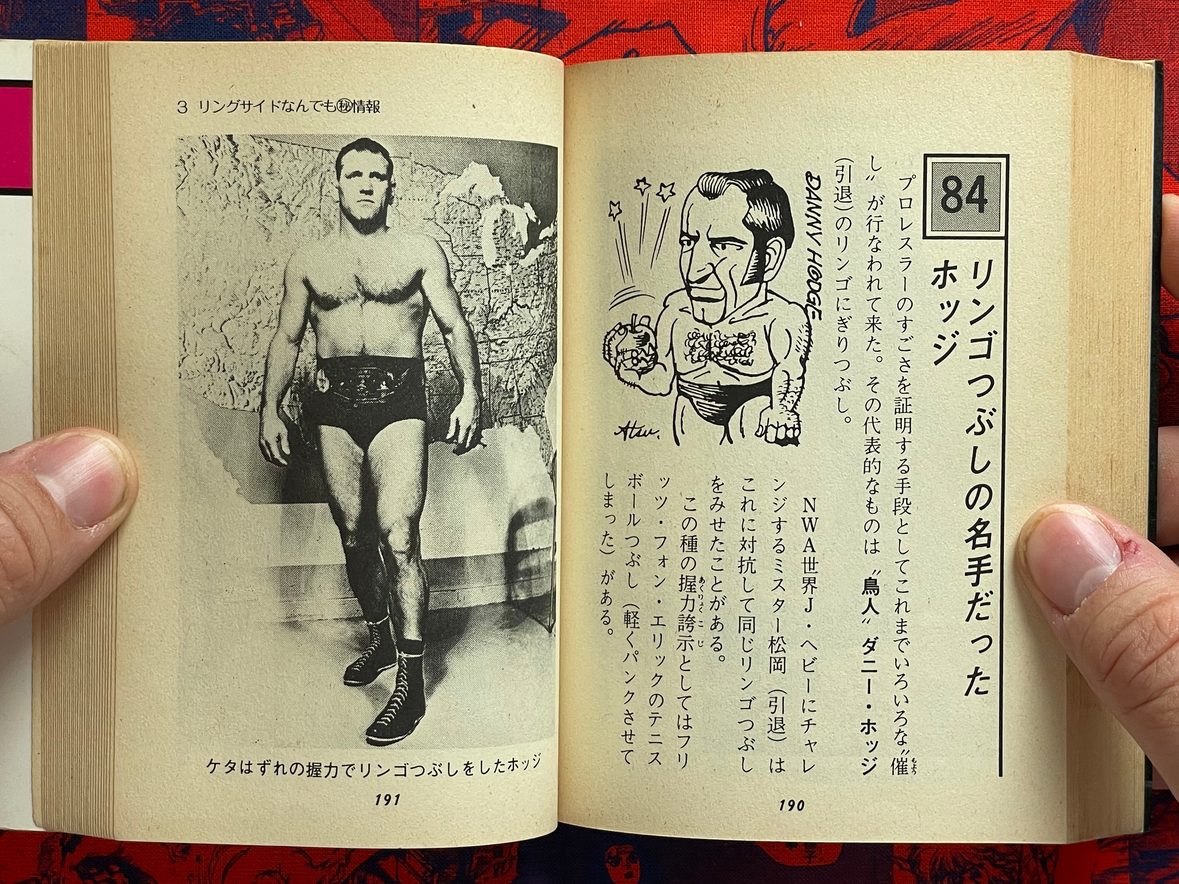 Pro Wrestling Everything Professor - bunko sized by Morioka Riu (1982)