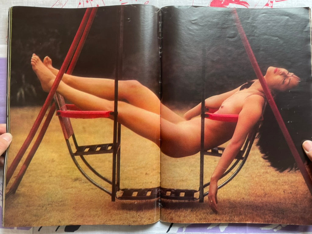 Agnes Lum & 10 Gals: Oversized All-Color Visual Magazine (1976) by Goro Magazine