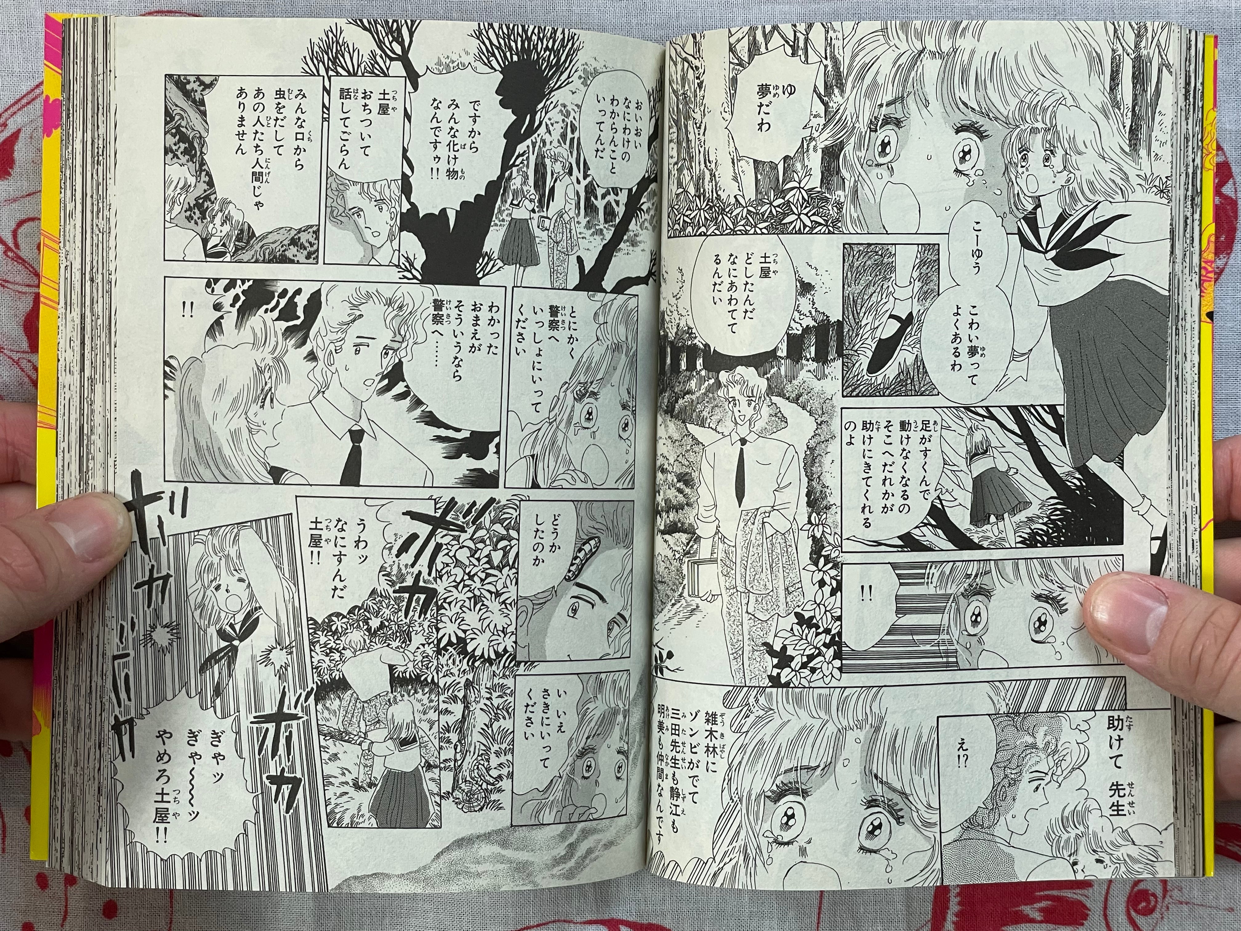 Zombie of the 13th Day by Yumeji Tanima (2017)