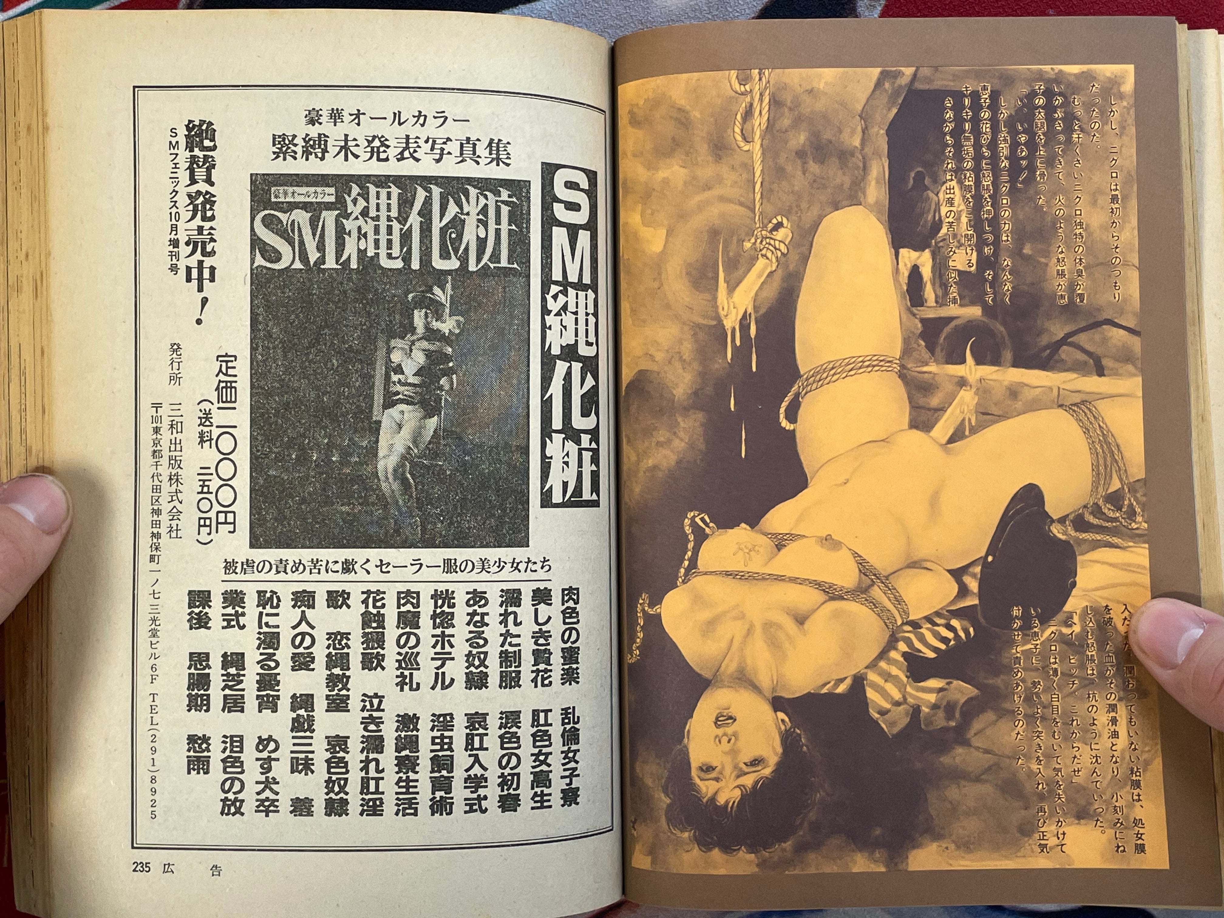 SM Phoenix Magazine (11/1984)