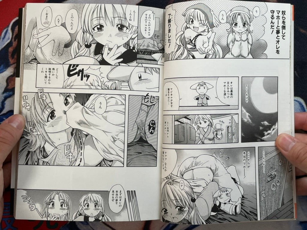 Daijobu by Shiwasu no Okina (1999)-thumbmail-6