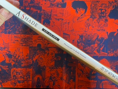 A Shade: Eri Aikawa Photo Book - Hardcover (1993)