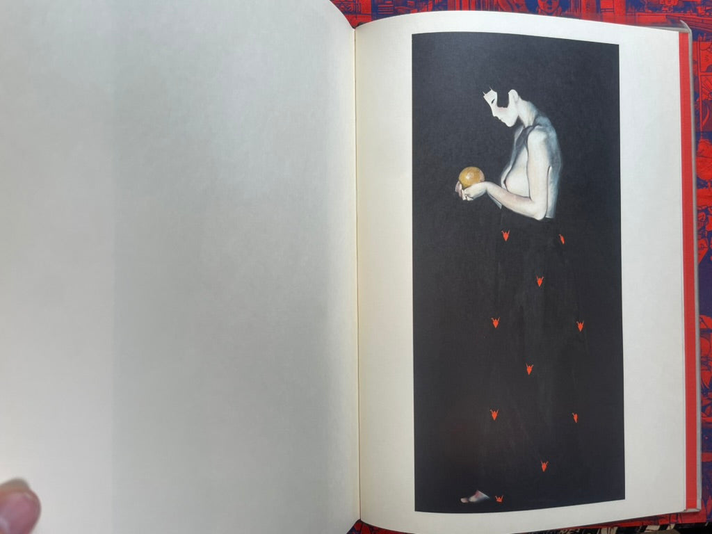 Minscape Beauty Illustrations - Oversized, Slipcover, Hardcover by