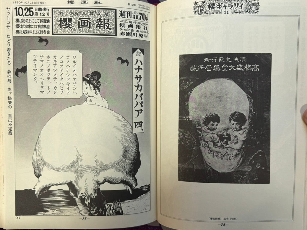 Sakura Pictorial Forever Edition (1971) by Genpei Akasegawa