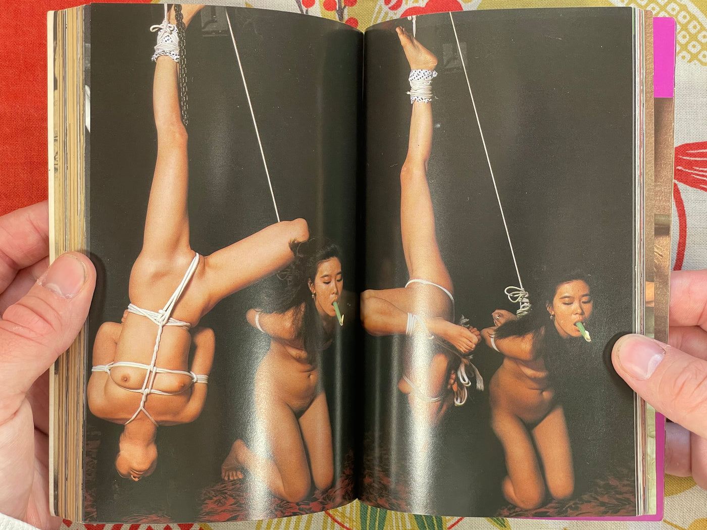 SM Method Sex Play (1982/8)