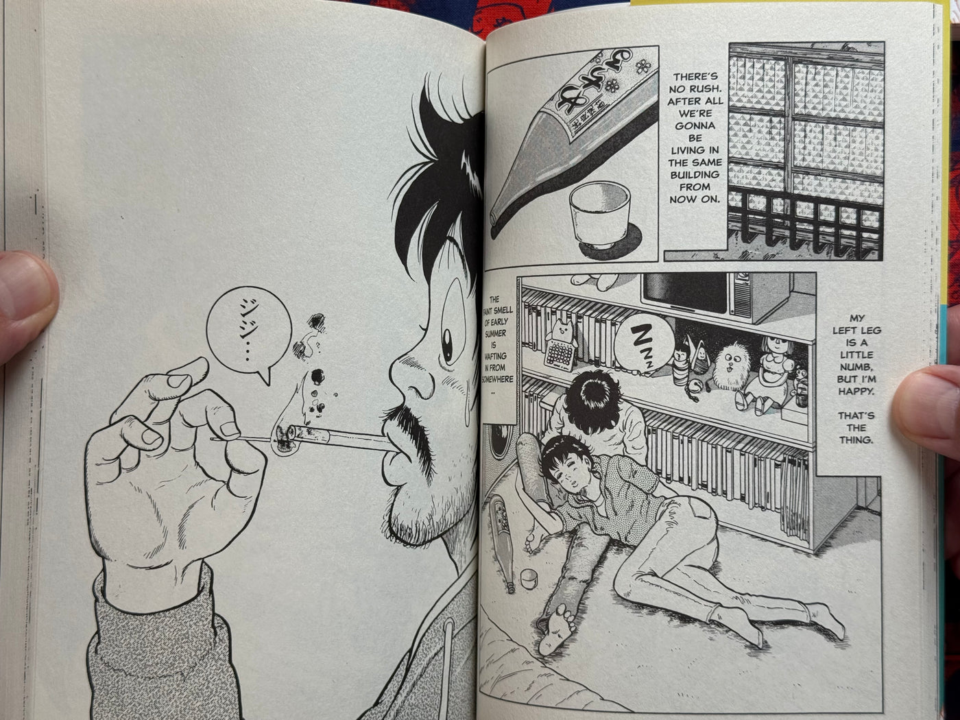 Dokudami Tenement Volume 1-2 English Edition by Takashi Fukutani (2019 / Black Hook Press)