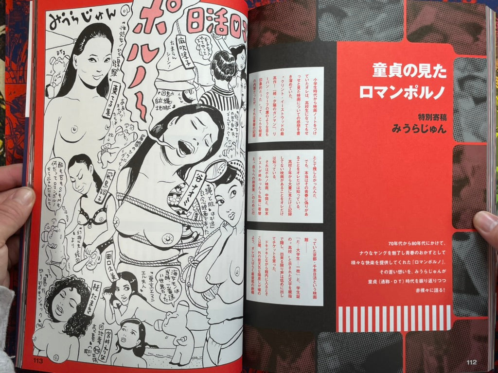 Eiga no Tomo Part 1: 39 Stars of Roman Porno Films (2006)