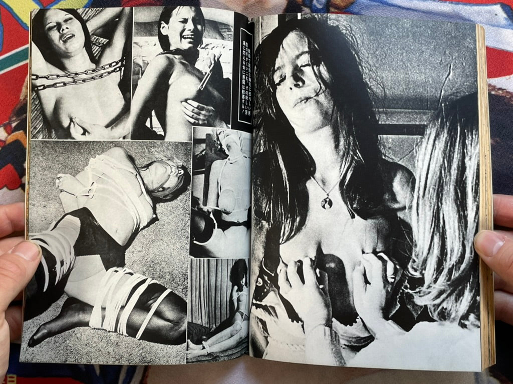 SM Collector (1974/8)