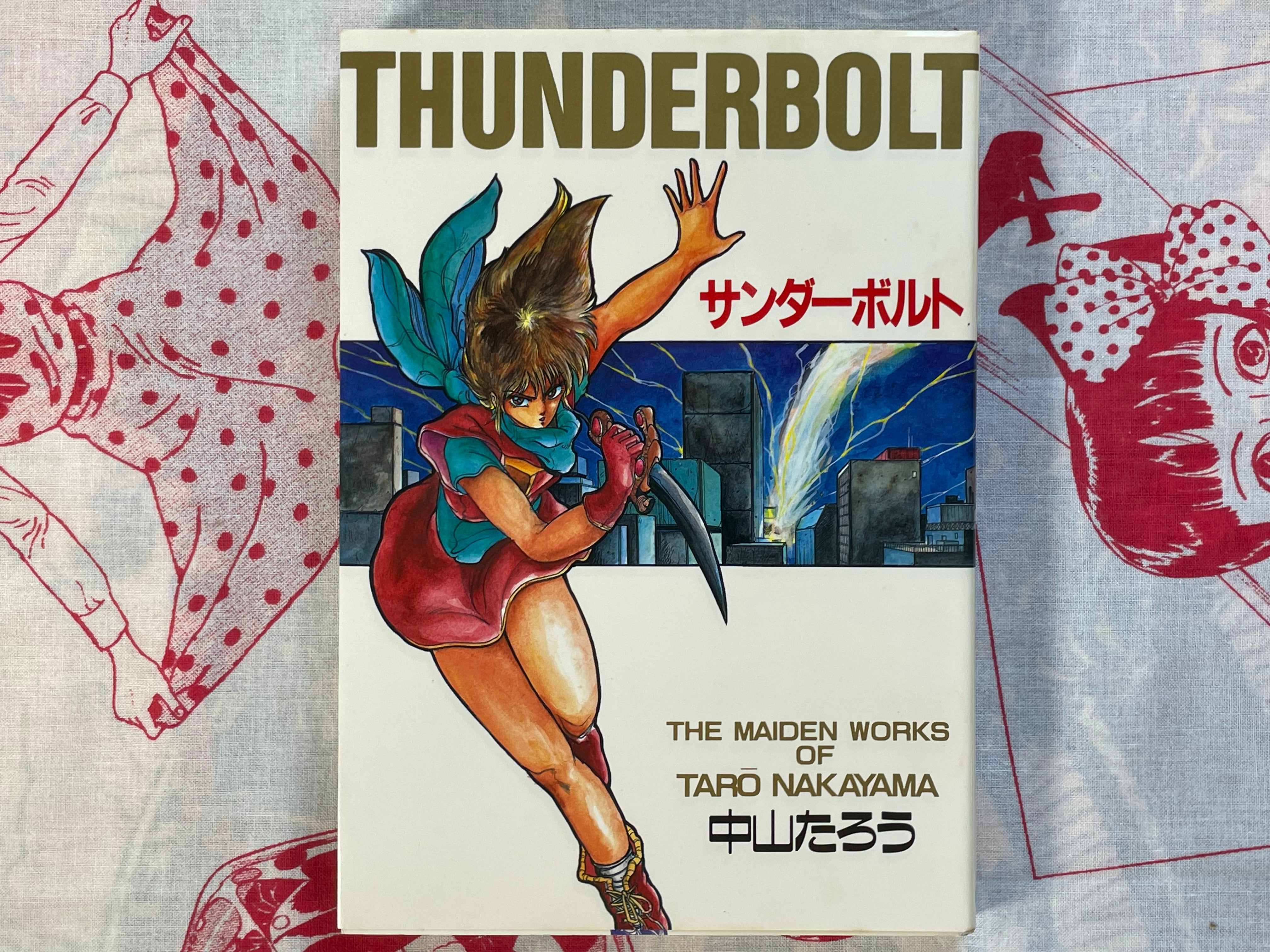 Thunderbolt: The Maiden Works of Taro Nakayama (1987)