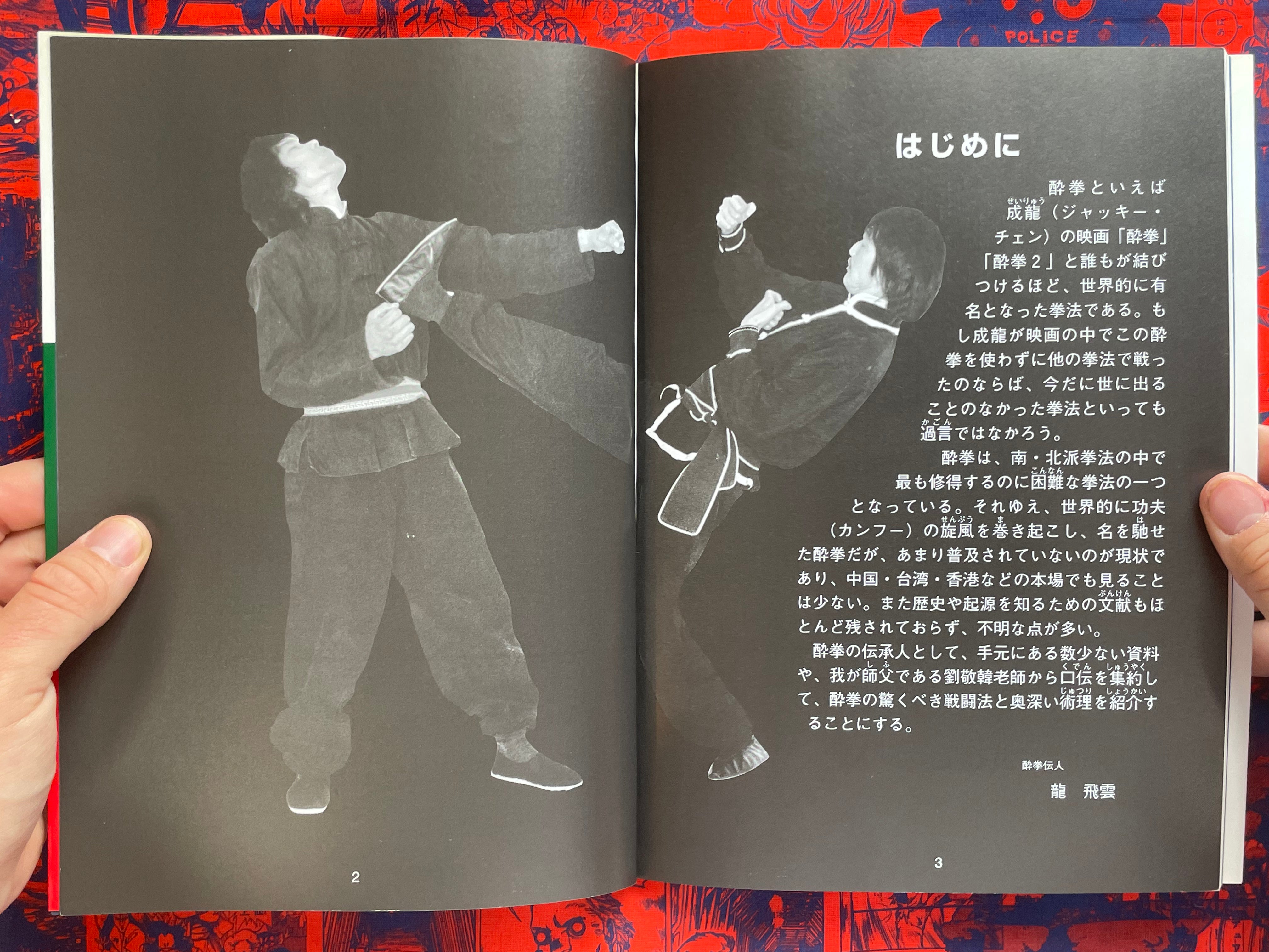 Drunken Fist Super Technique by Hiun Ryu (1999)
