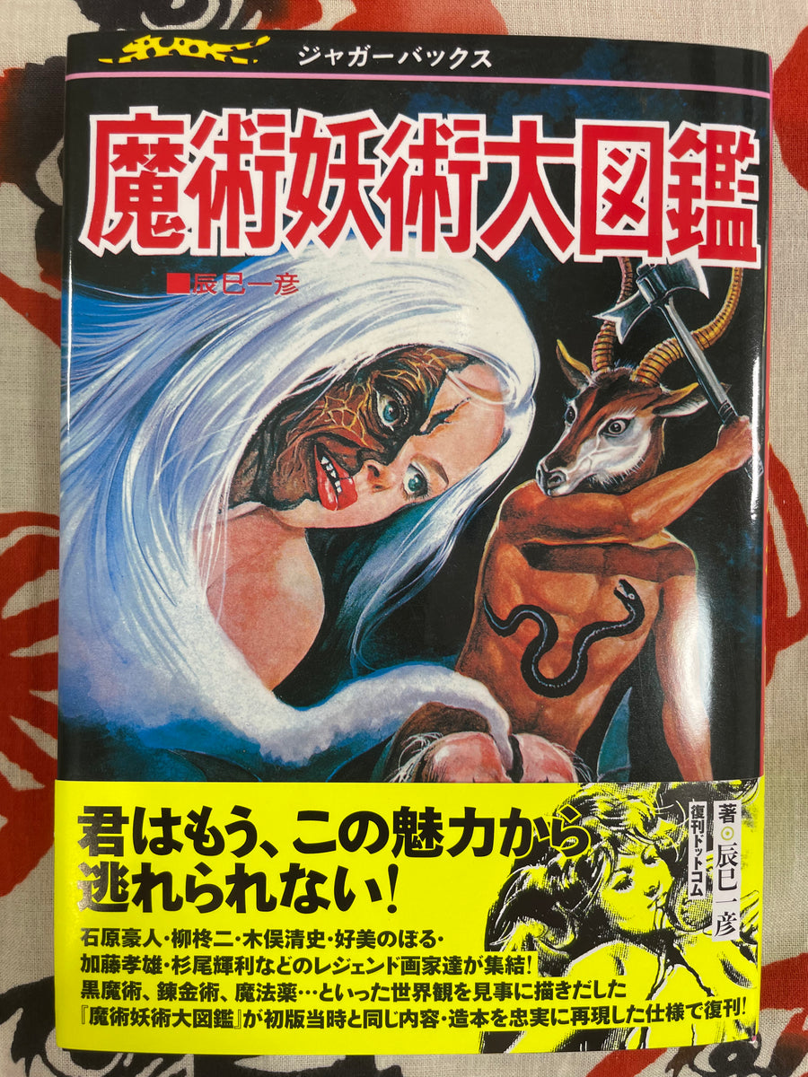 Magic & Witchcraft Big Encyclopedia (Jaguar Books)