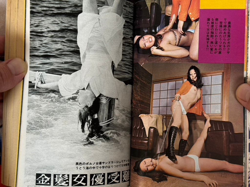 SM Fan Magazine (6/1972)