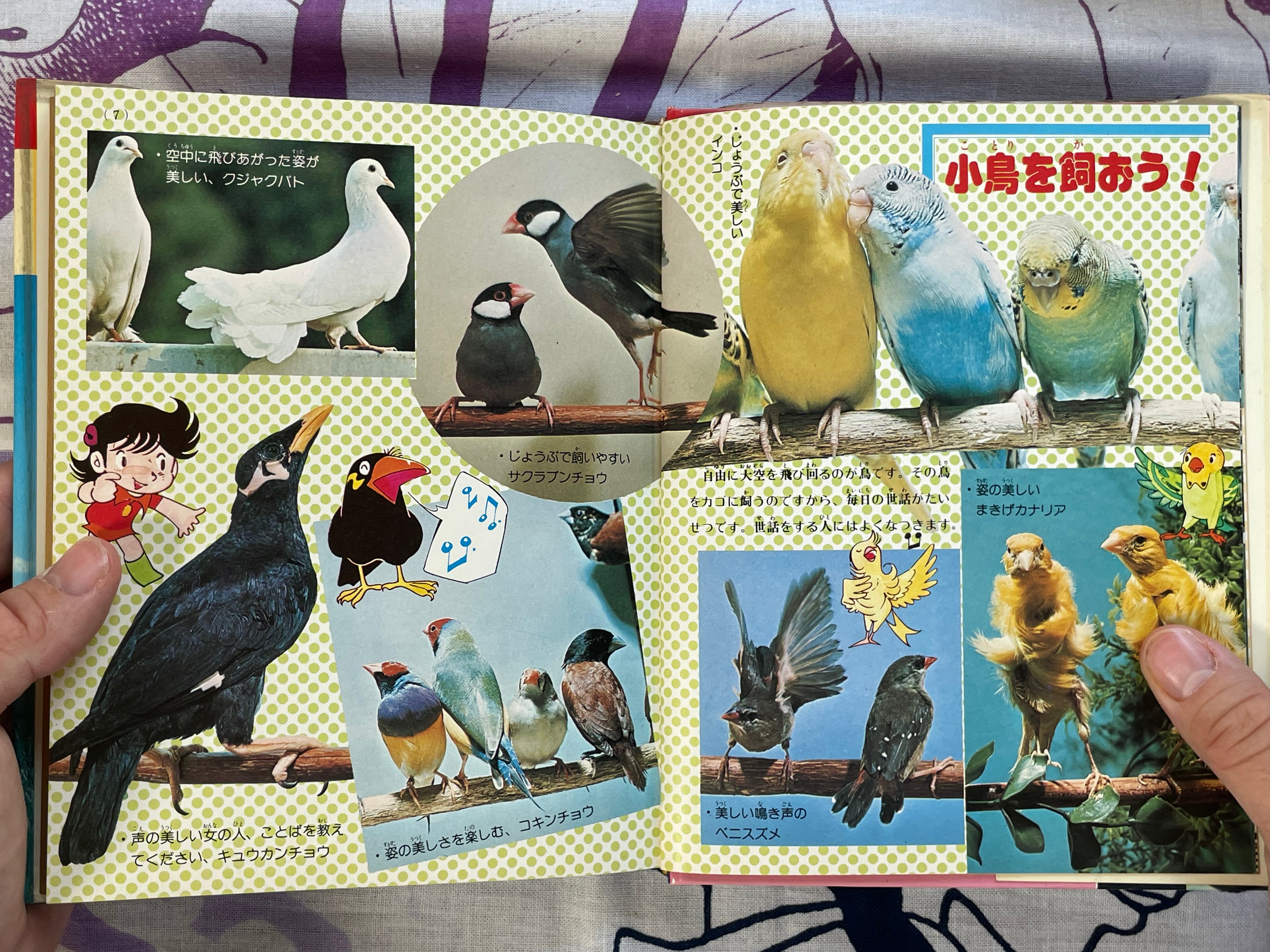 How to Own Pets #4 by Shogakukan (1979)