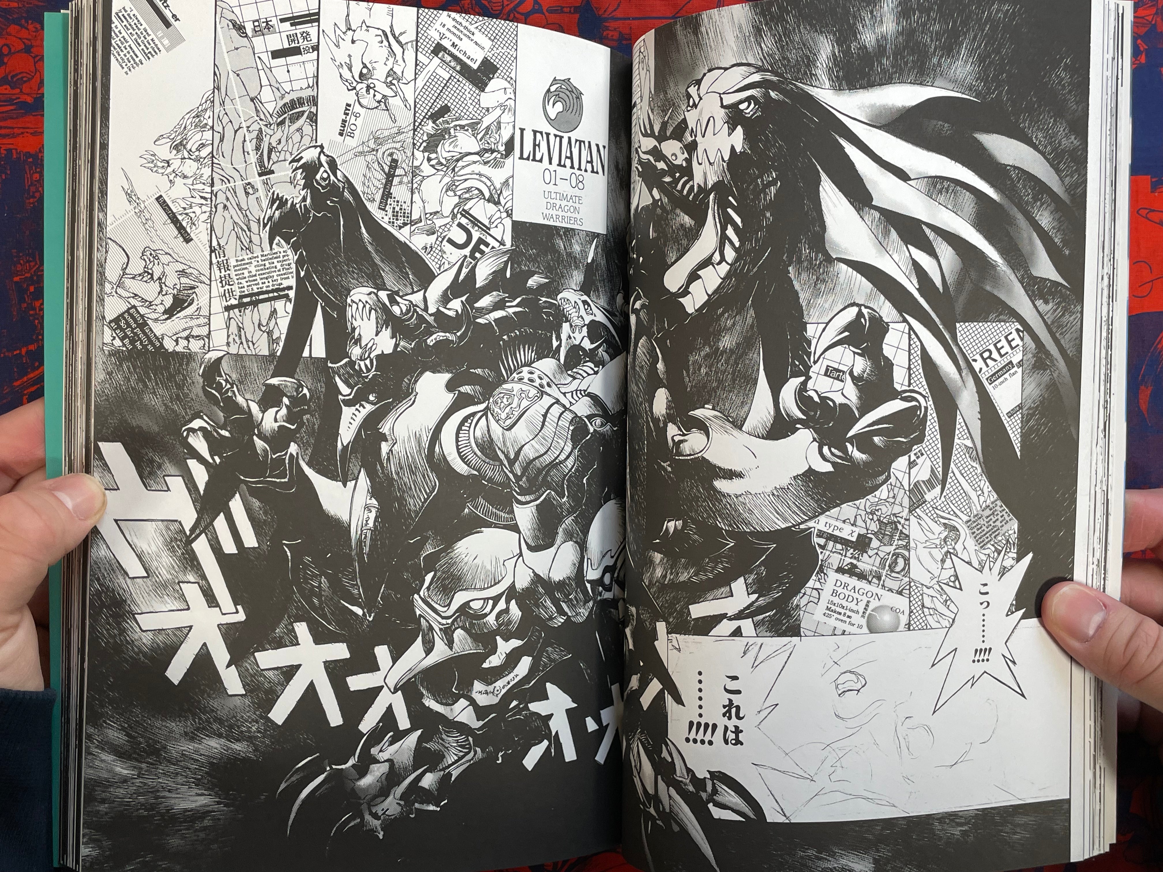 Bastard!! Unused Revised Edition by Hagiwara Kazushi (2000)