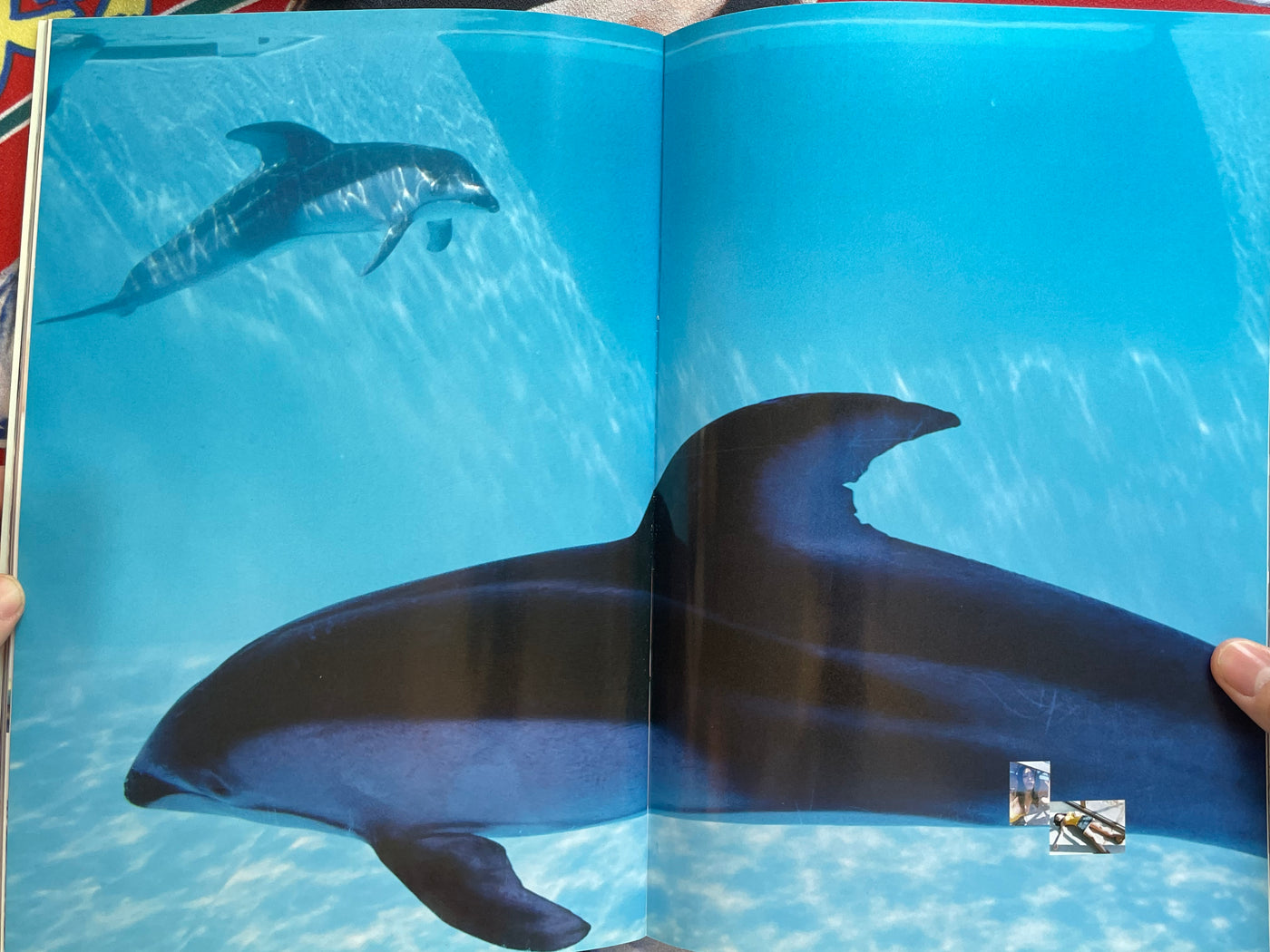 Kawamura Yukie Vol. 2 Shincho Mook Photo Collection (2006)