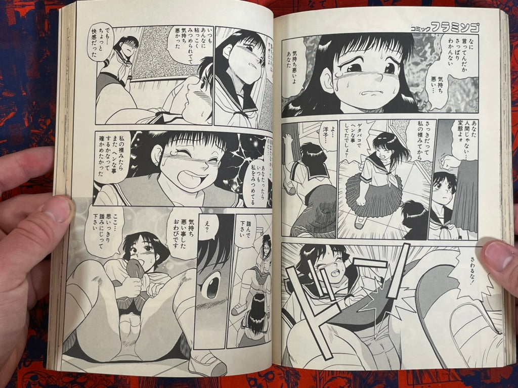 Flamingo Magazine (10/1995)