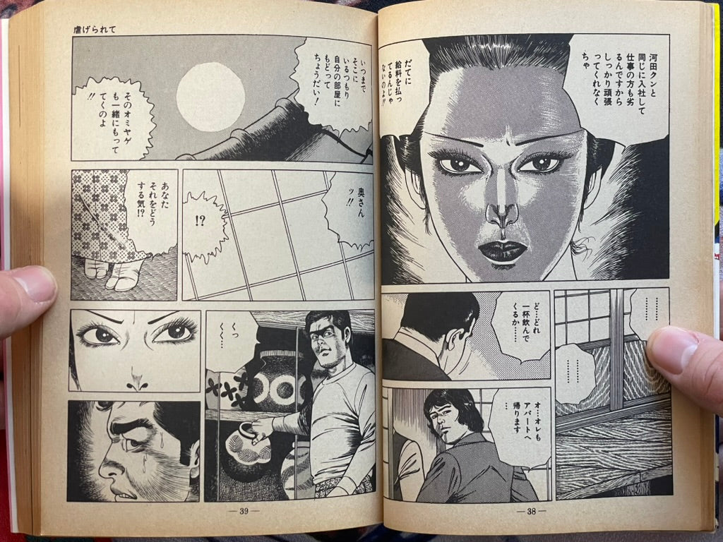 Moan at the Whip by Sugawara Takuya (1981)