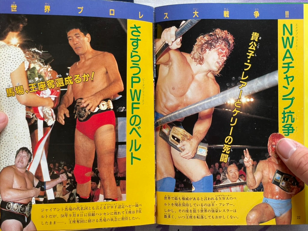Definitive Edition: Introduction to Pro Wrestling by Big Wrestler (1984)