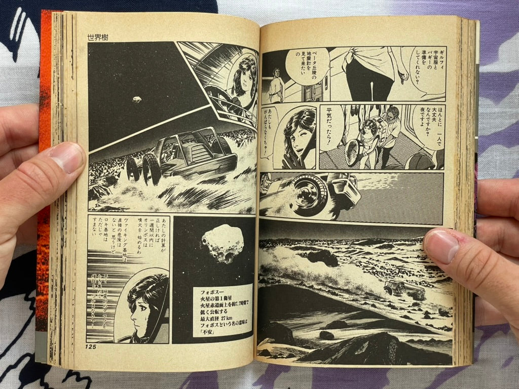 An After Image by Yukinobu Hoshino (1982)