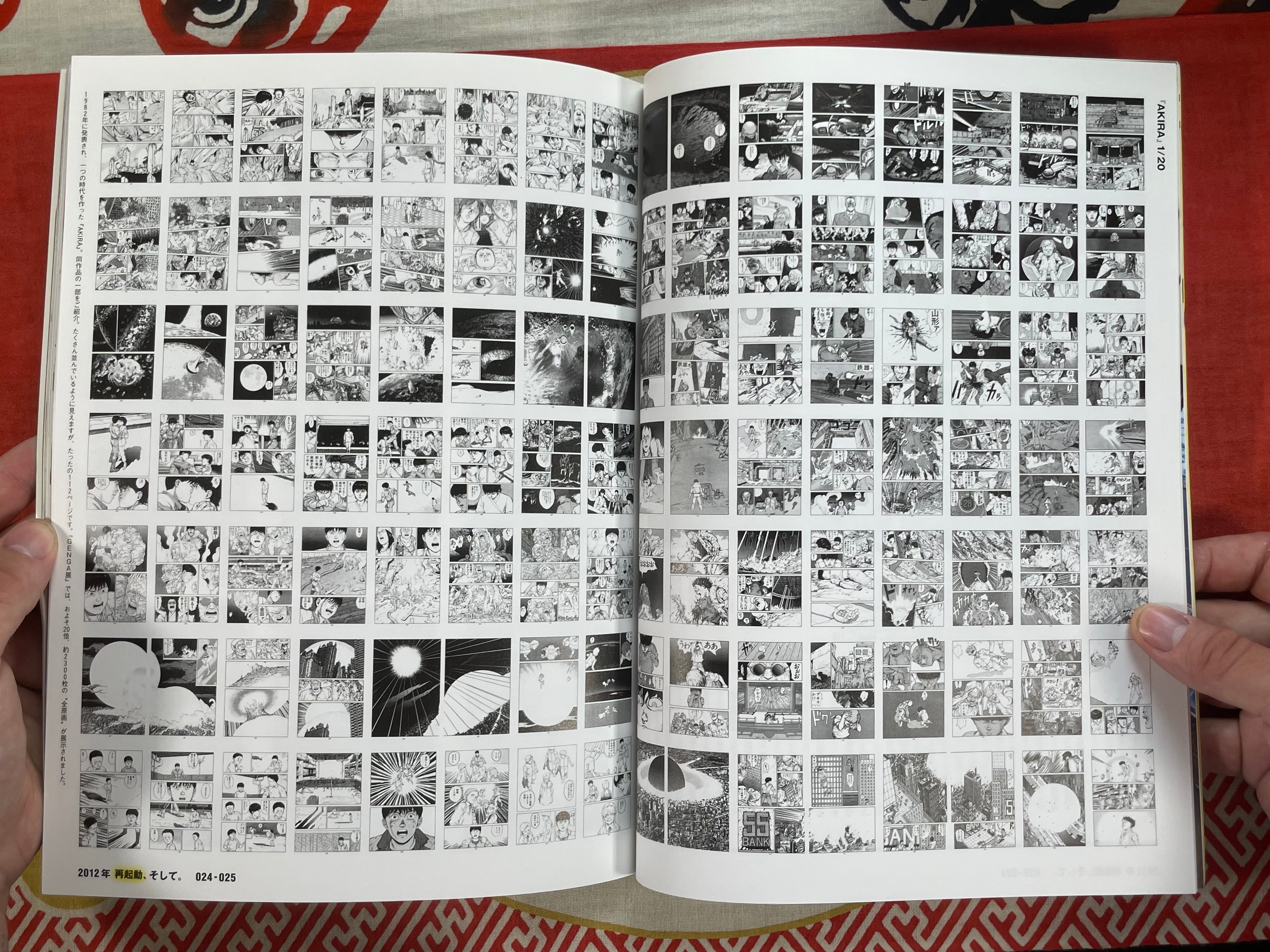 Brutus Akira Issue (2/2012)