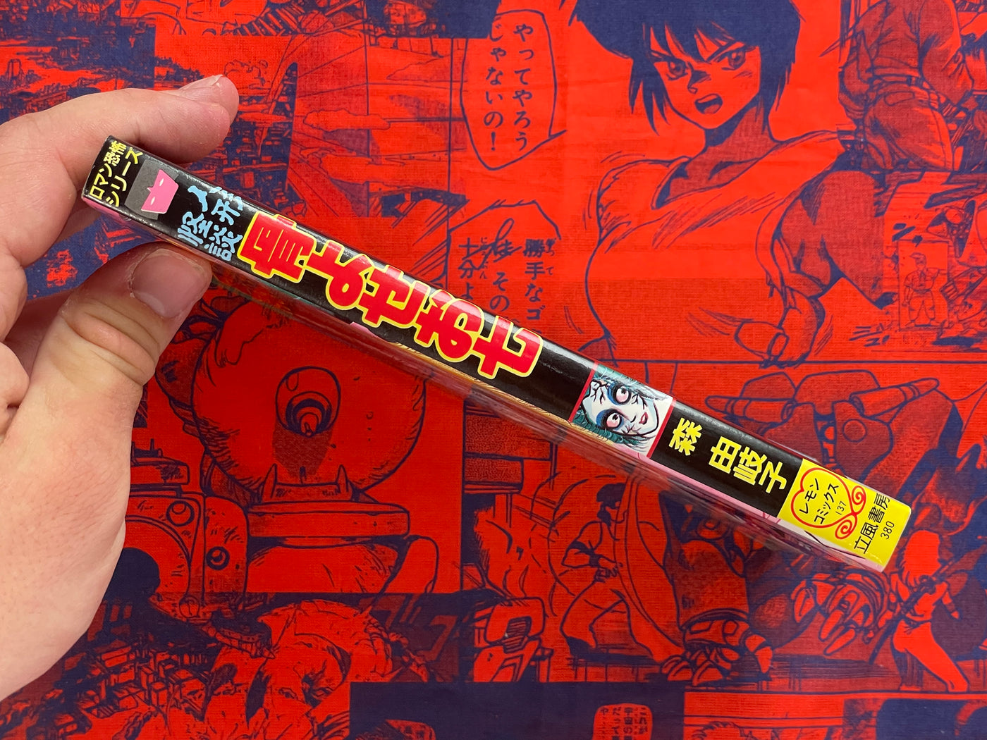 Bone Collector Oshichi by Mori Yukiko (1988)