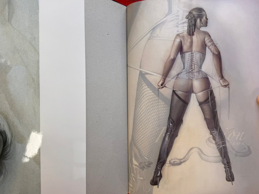 Relativision w/ Oversized Poster (2006) by Hajime Sorayama