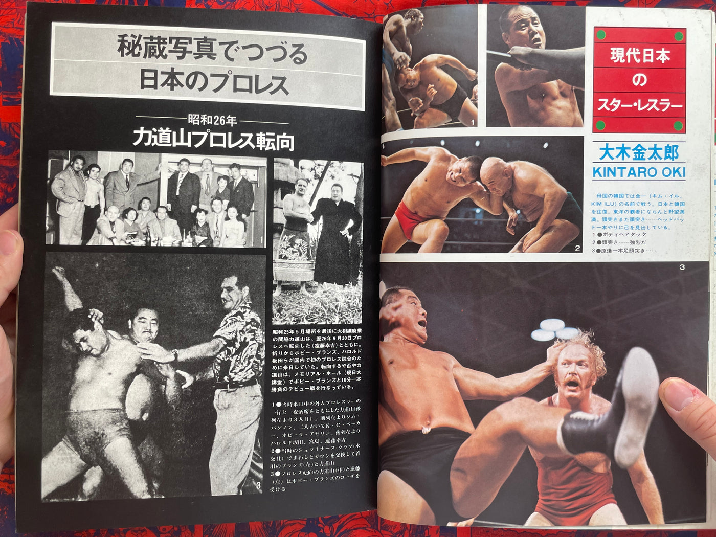 Pictorial History of Pro-Wrestling in Japan (1975)