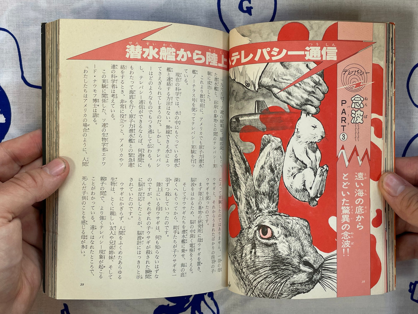 Supernatural Enigma: Esper's Great Progress (1977)