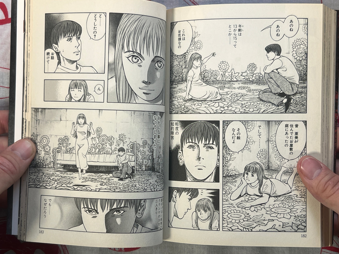 Red Sister by Masaya Hokazono (2010)