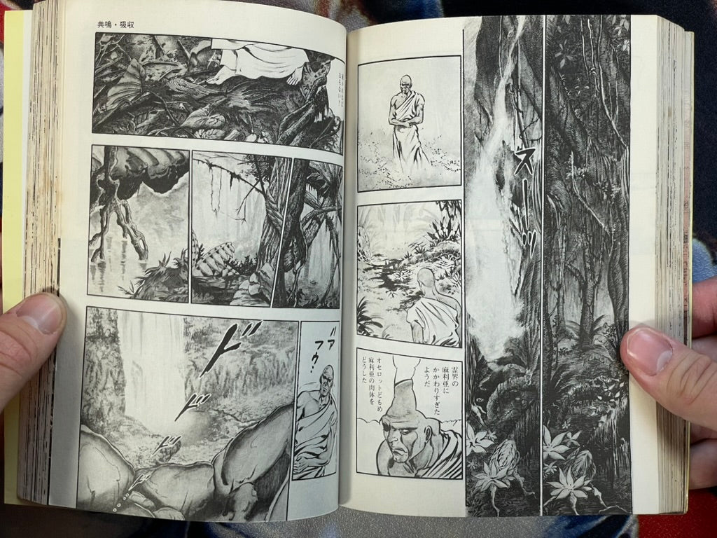 You Adoro 2 by Mieko Kawasaki (1979)