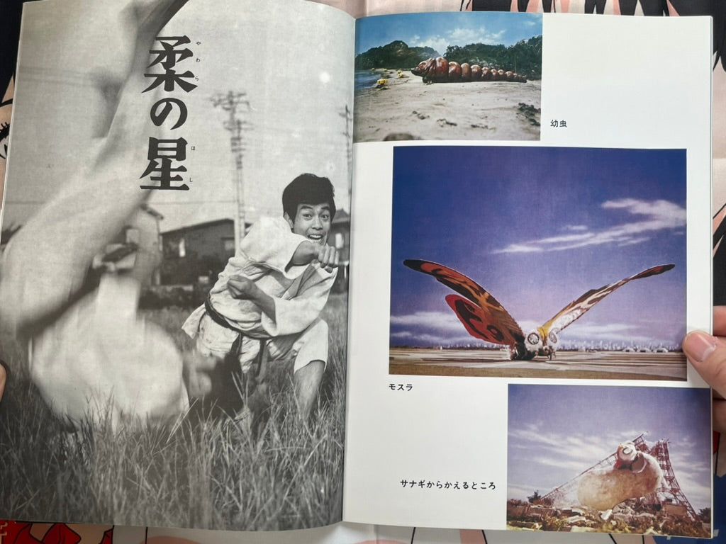 Toho Champion Festival Movie Promo Set: Mothra vs. Godzilla-thumbmail-6