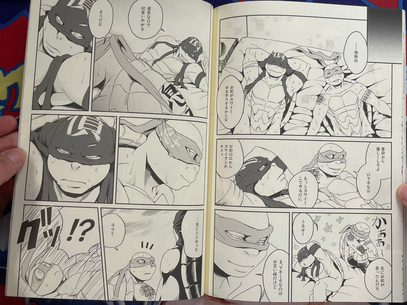 Doujinshi - Beta x Beta: TMNT Raphael x Leonardo by Rotten Freaks (2015)