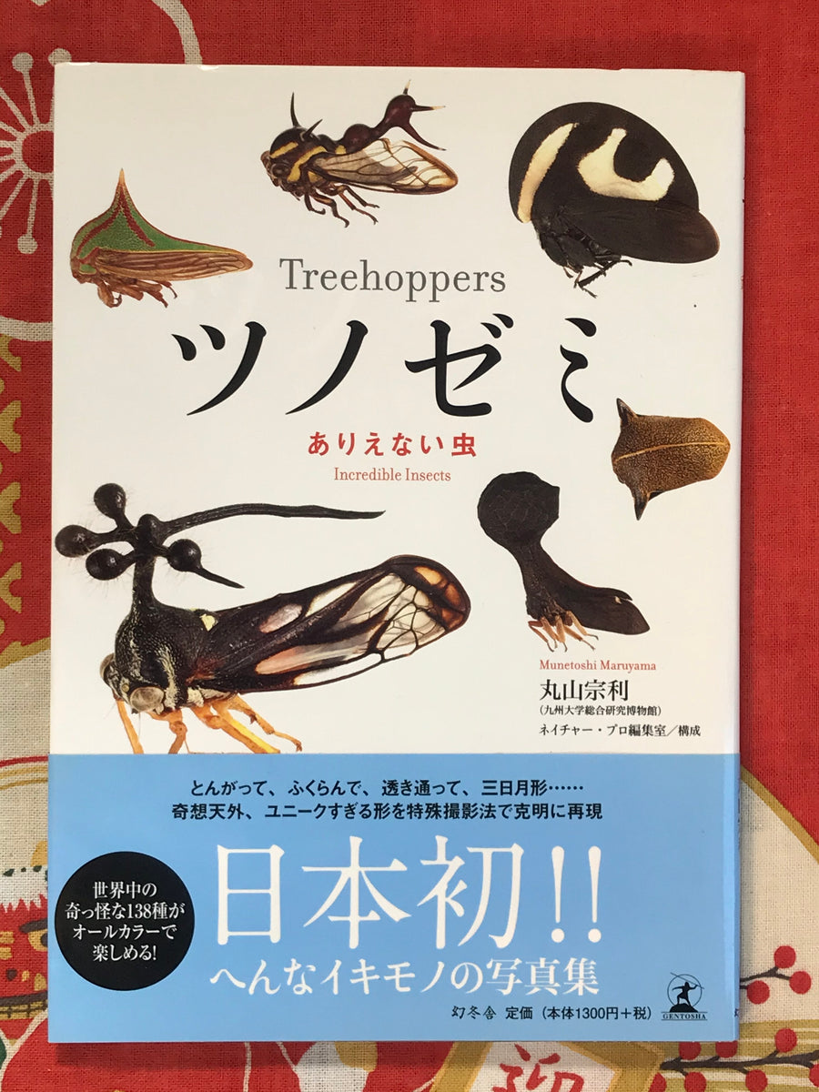 Treehoppers - Incredible Insects by Munetoshi Maruyama