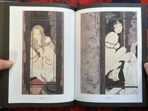 SIGNED Rib of a Hermaphrodite by Yamamoto Takato - Hardcover + Slipcover (2023)