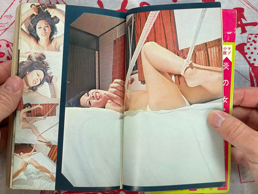 Pocket SM Magazine (1/1972)