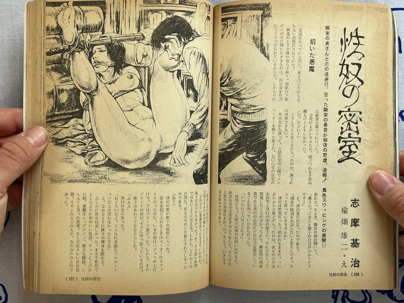 SM Magazine (1979/6)